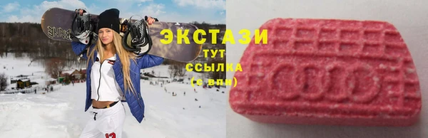 стаф Ростов