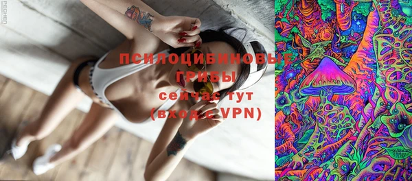 ешки Михайловск