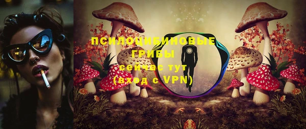 ешки Михайловск