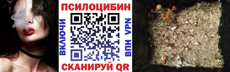 блэк спрут как войти даркнет сайт Ряжск Псилоцибиновые грибы мухоморы